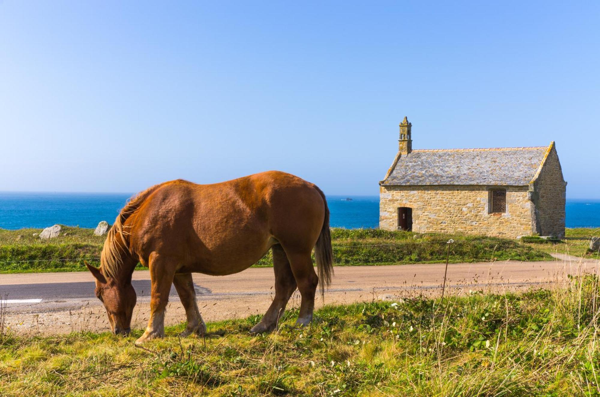Ty Nevez - Jolie Maison Neuve Avec Petite Vue Mer Saint-Pabu  Экстерьер фото